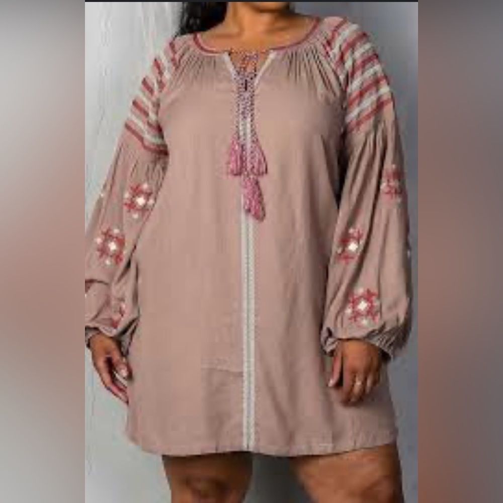 Hayden embroidered long sleeve mocha mini dress